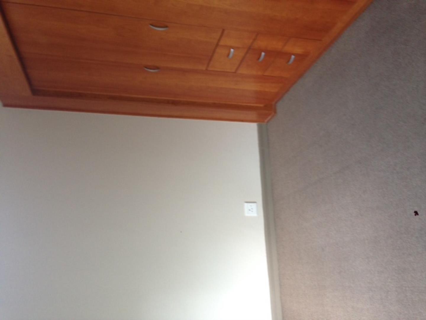535960_IMG_3619.JPG