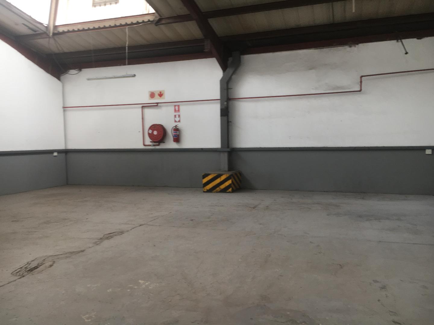 604267_IMG_2981.JPG